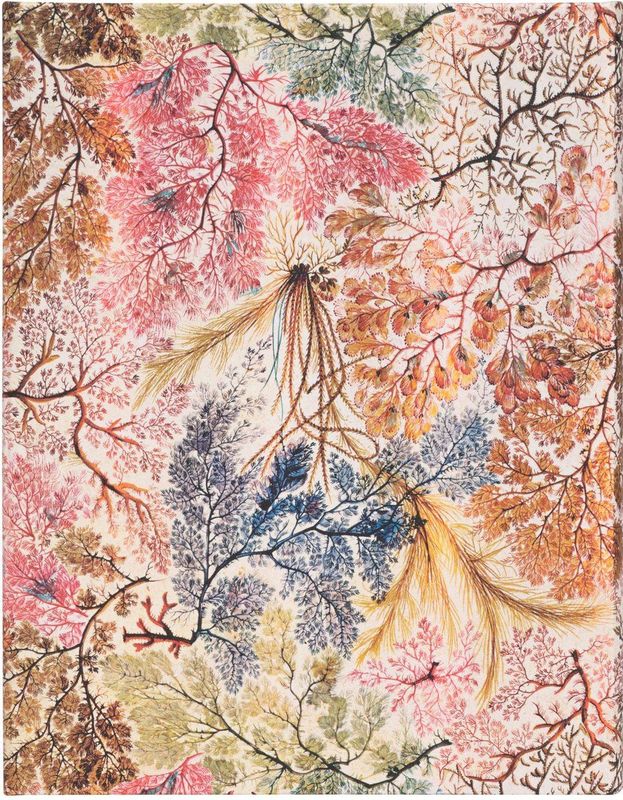 Anemoon - Ultra - Hardcover Notebook - Gelijnd - 144 pagina's - 180 x 230 mm