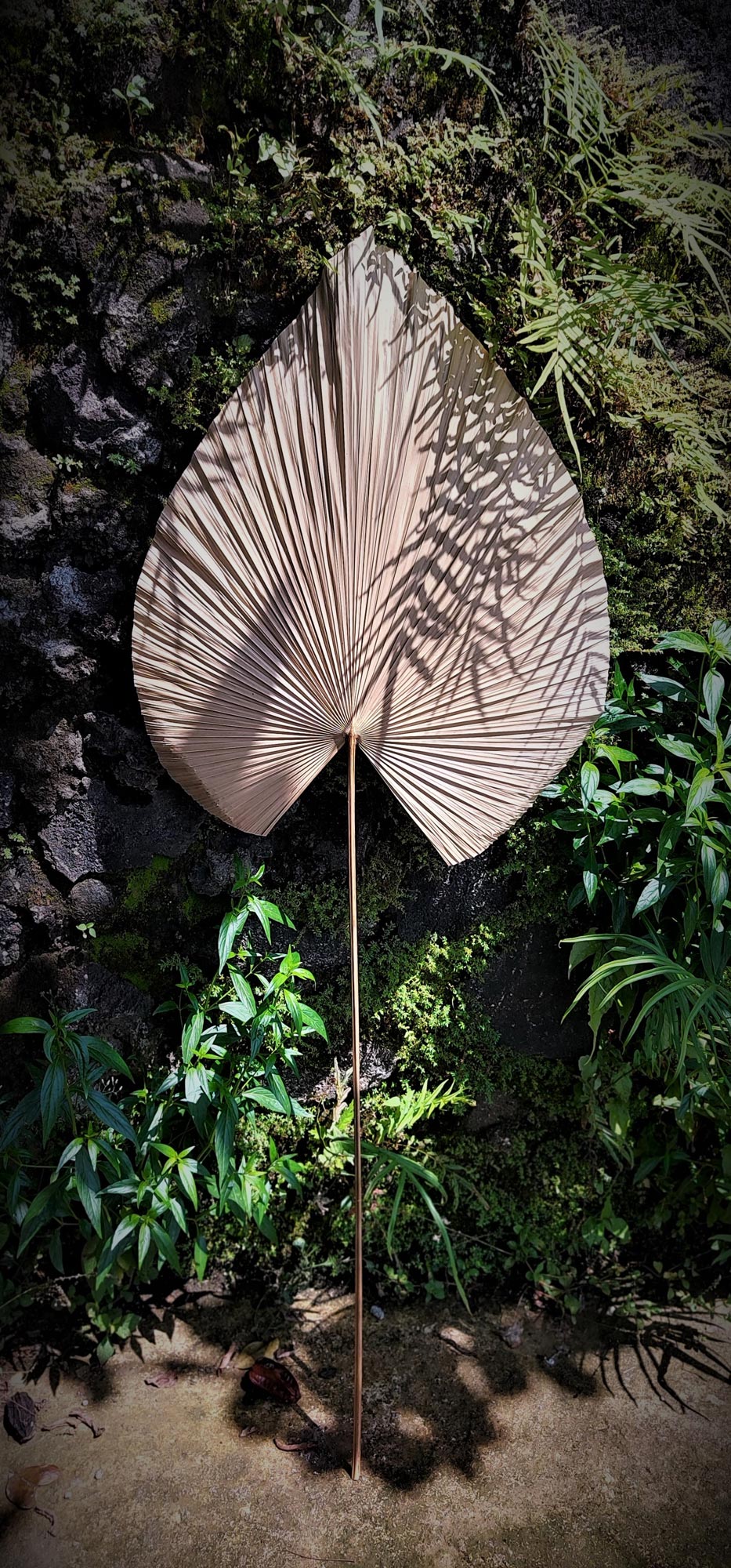 Palmenblatt natur, H 120 cm, B 45 cm von fischer's lagerhaus