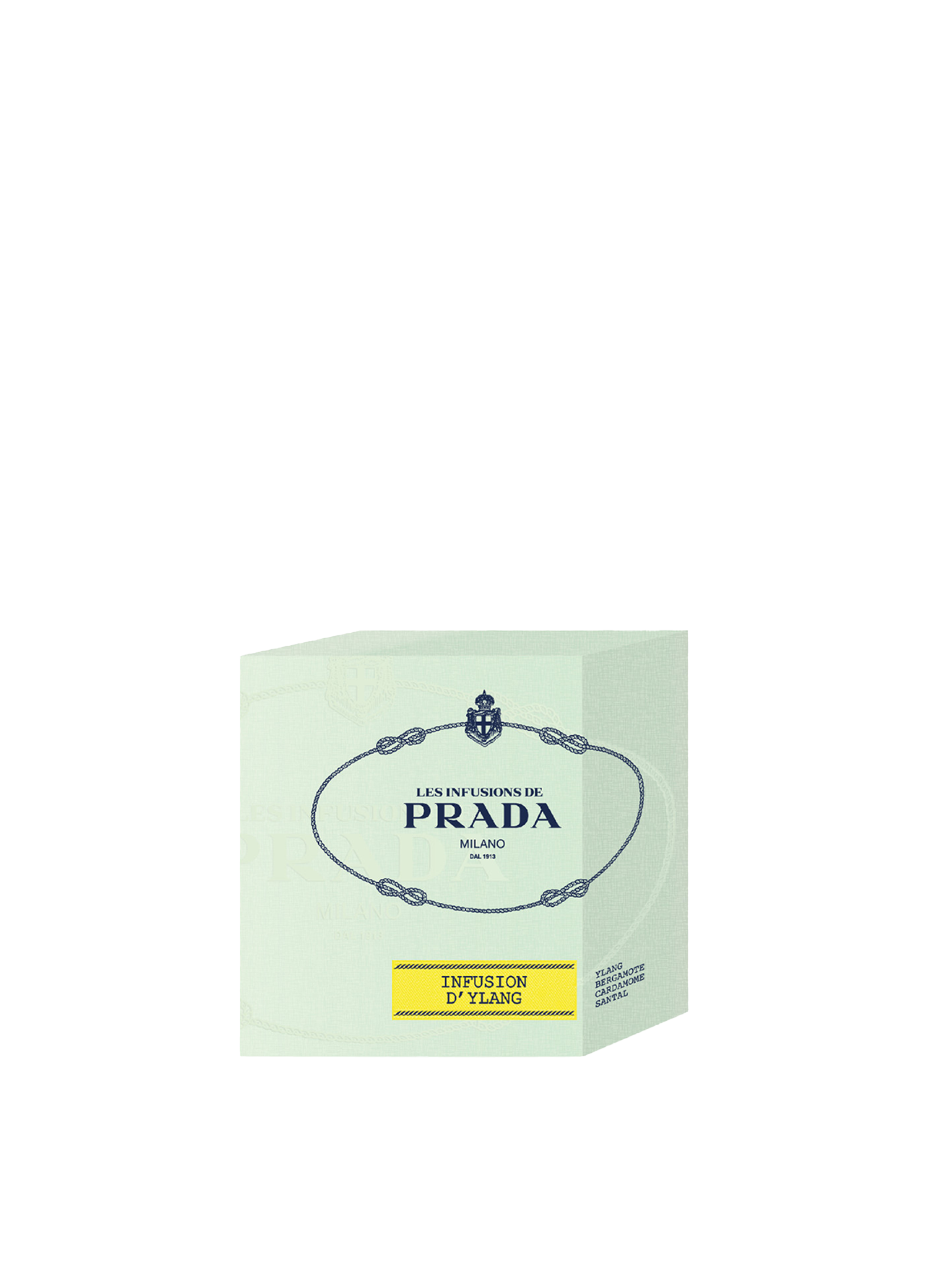 Bougie infusion d'ylang |