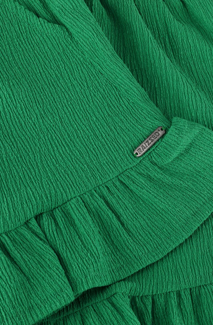 RAIZZED groene raizzed shorts felena