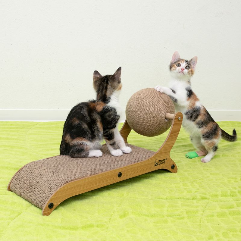 Griffoir Modern Living Valencia pour chat