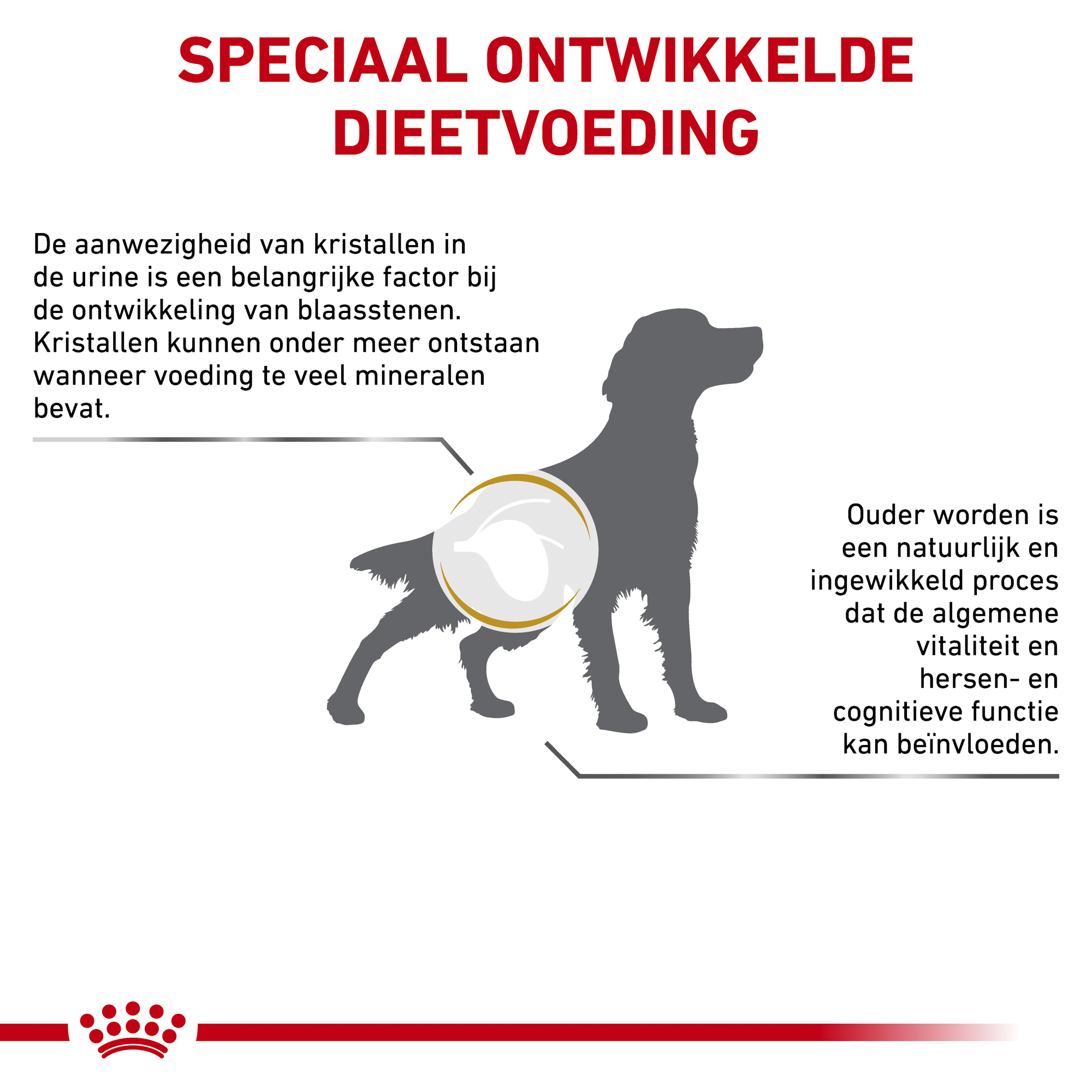 Royal Canin Urinary S/O Ageing 7+ Hond