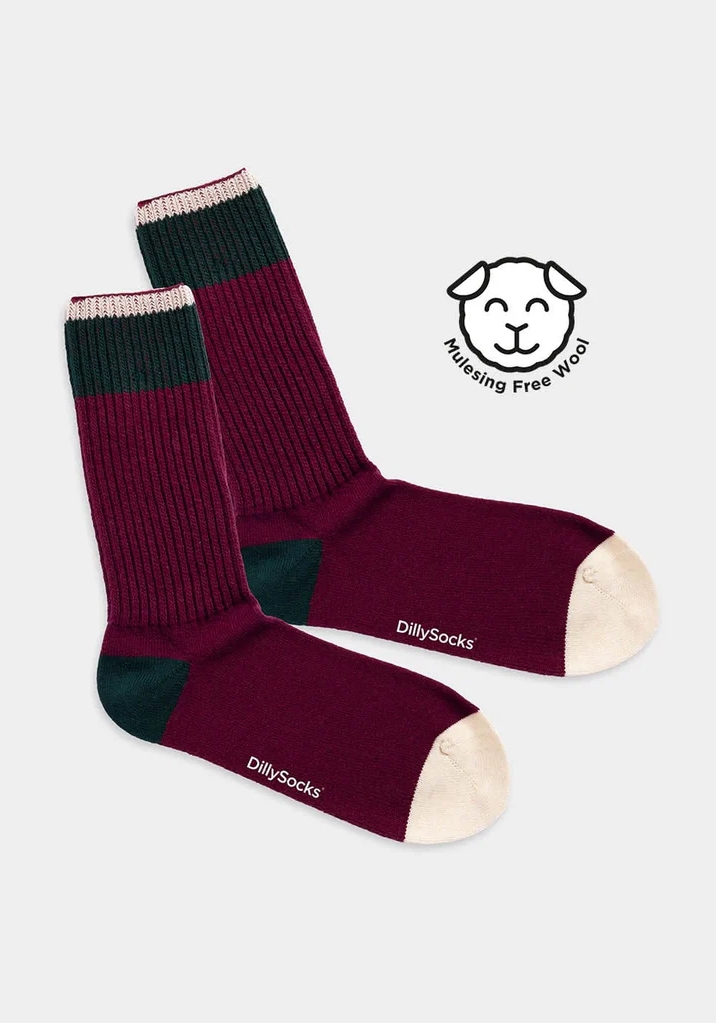 DillySocks Wollsocken Cozy Lina