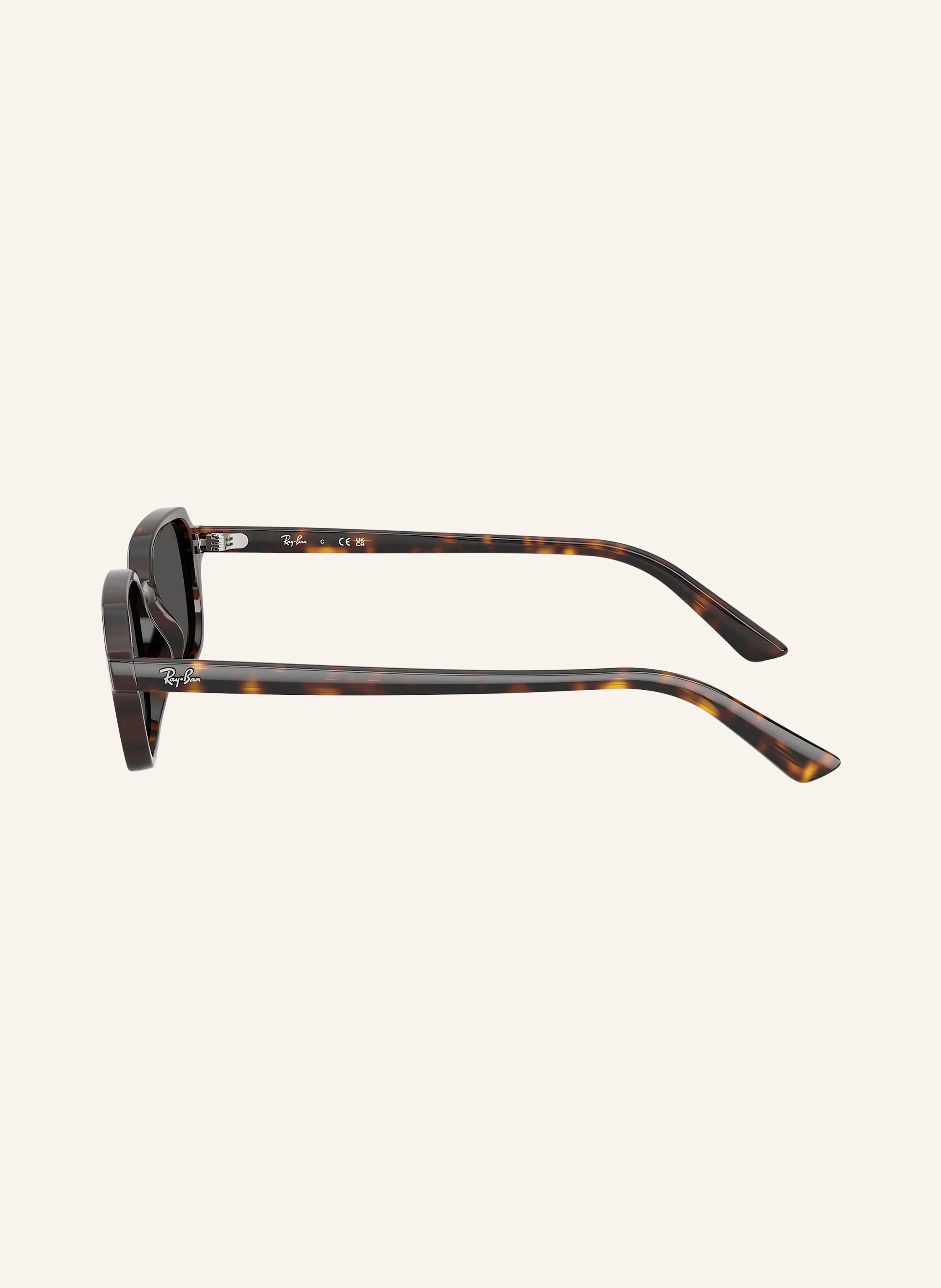 Ray-Ban Sonnenbrille RB4455