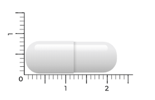 Vitakruid L-Tyrosine 500 Capsules 60CP