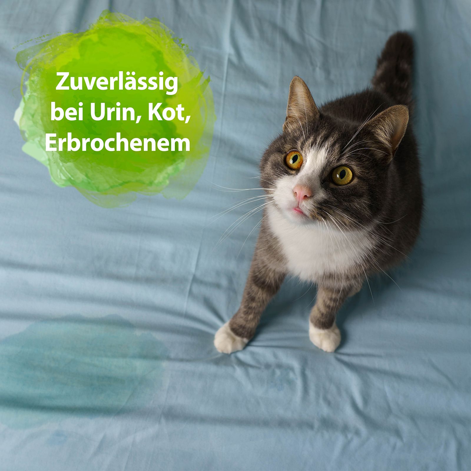 Bactador Wäschespülung Geruchsentferner