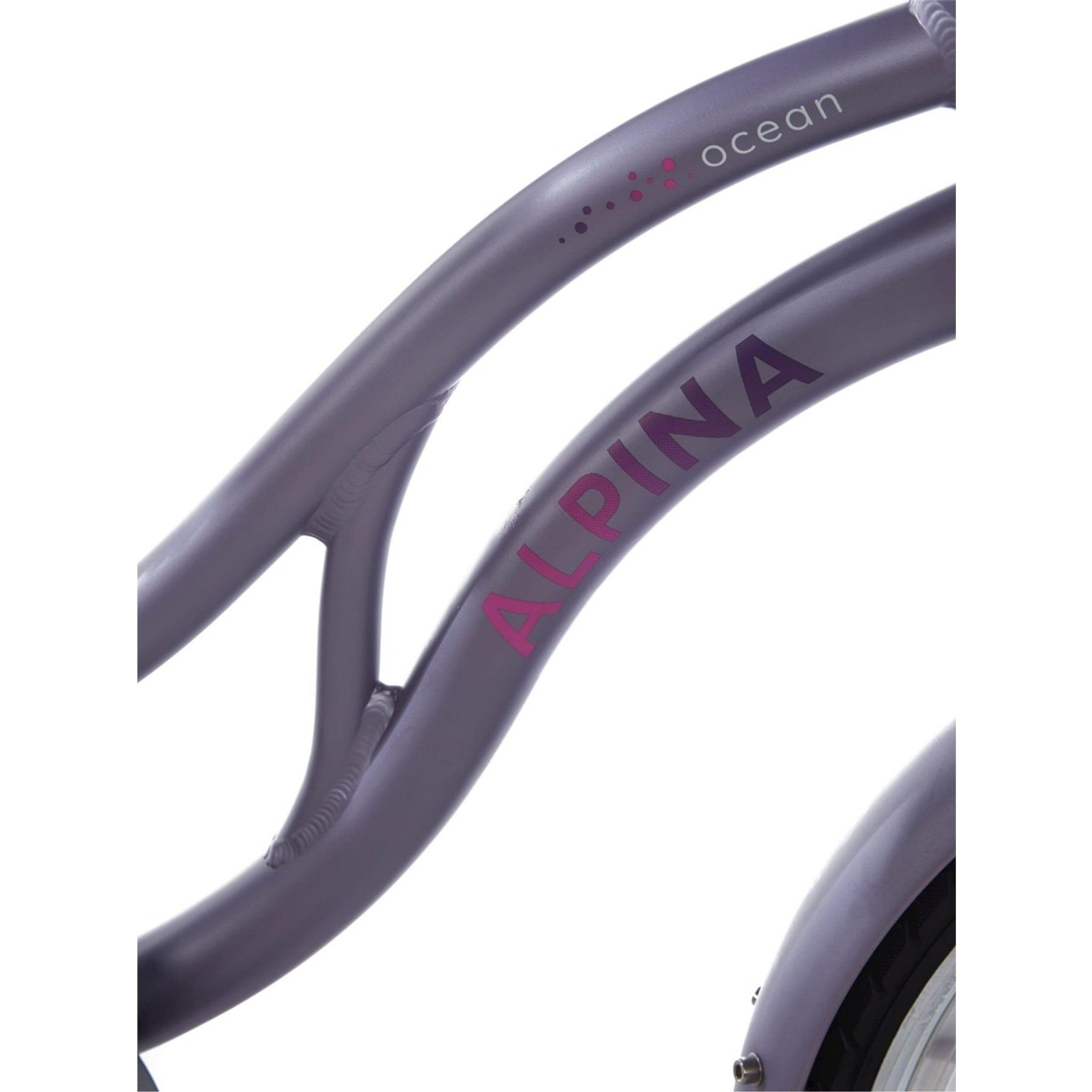 Alpina Ocean 22 inch Meisjesfiets 2026