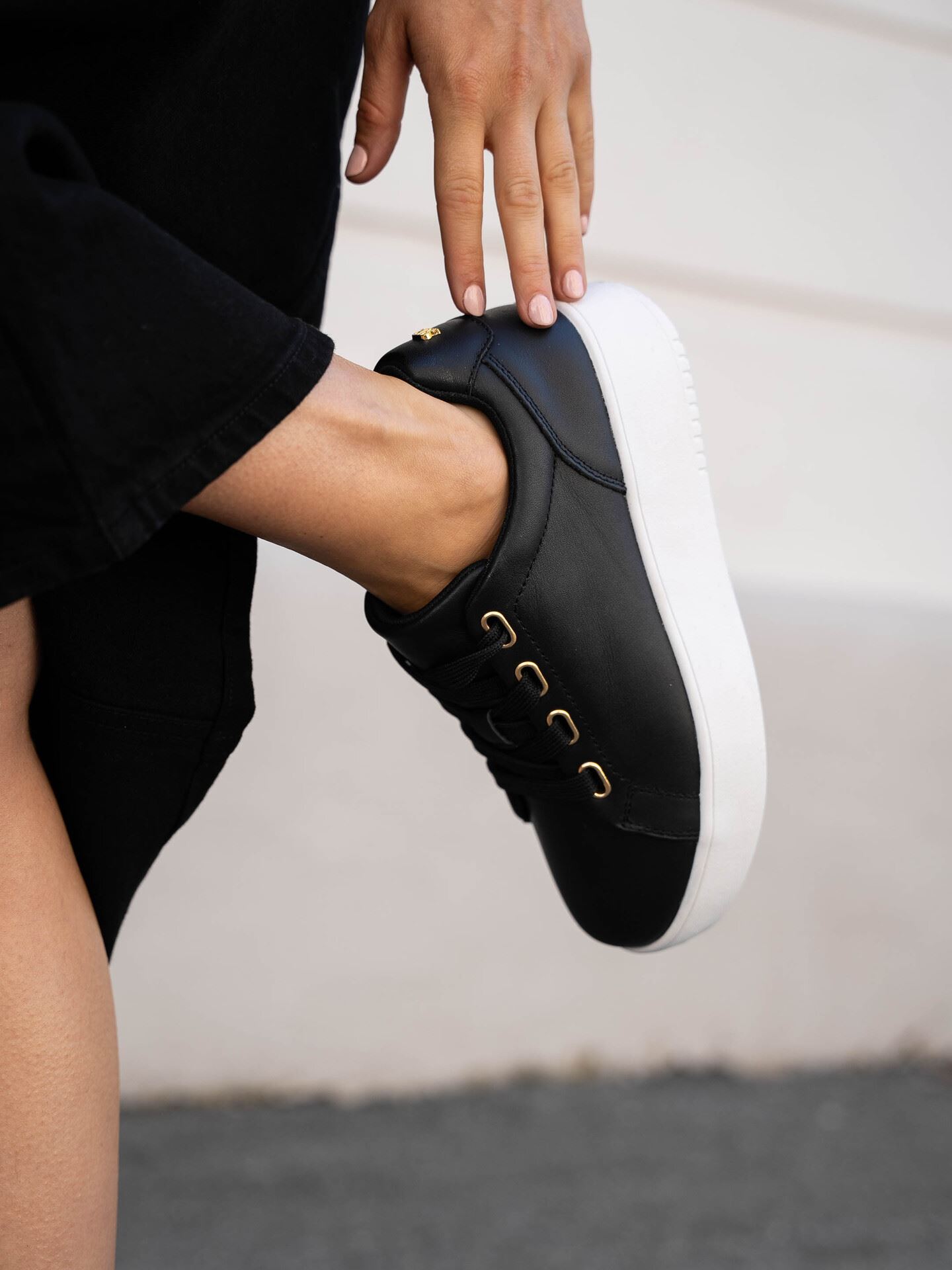 Avanti Leather