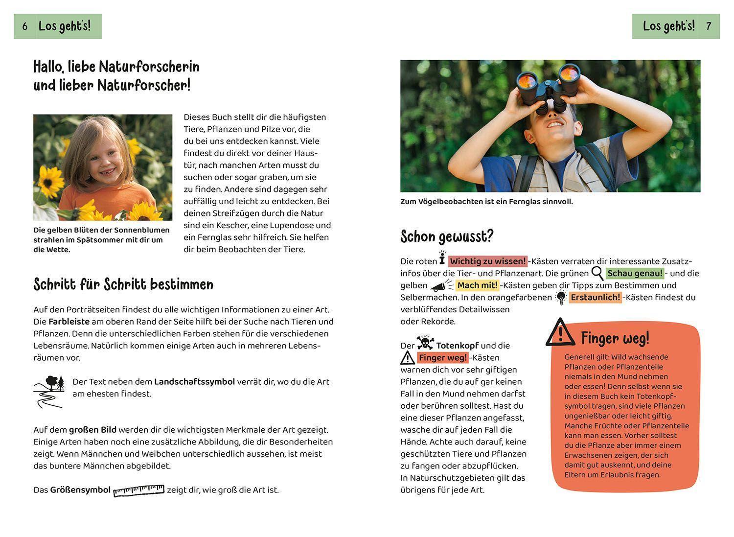 Tier- und Pflanzenführer. Kindernaturführer