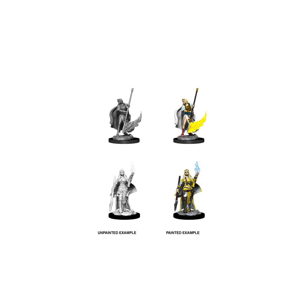 Pathfinder Deepcuts Unpainted Miniatures: Female Human Oracle