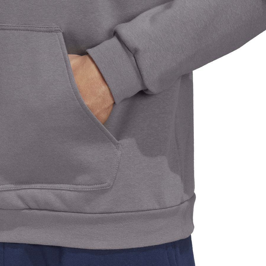adidas Sweat à Capuche Entrada 22 - Gris