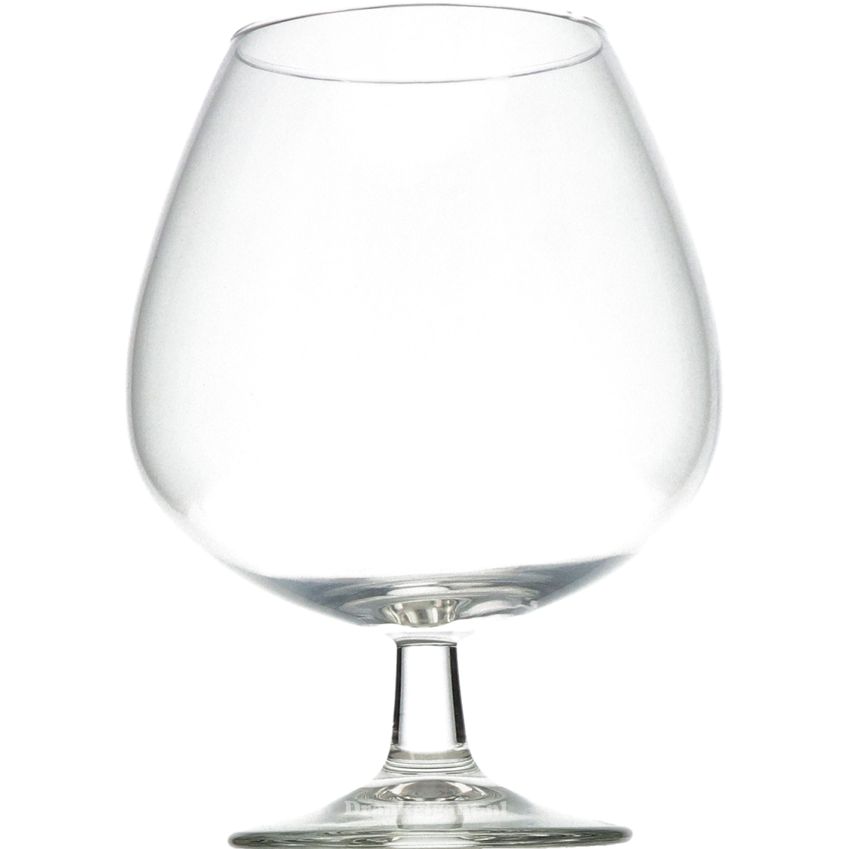 Cognac Glas Groot XL 80 cl