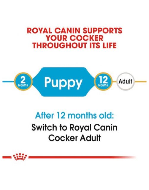 Royal Canin Cocker - Puppy-Hondenvoer - 3 kg