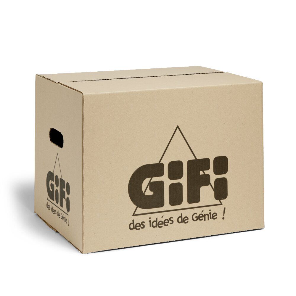 Carton déménagement Gifi premium 36L