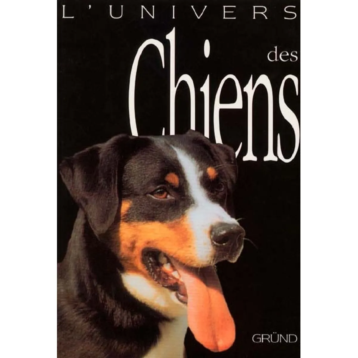 Les chiens · Occasion