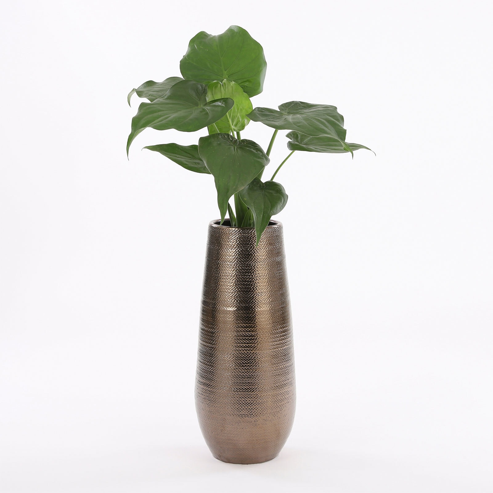 MICA DECORATIONS Bodenvase GABRIEL 60 cm bronzefarbig