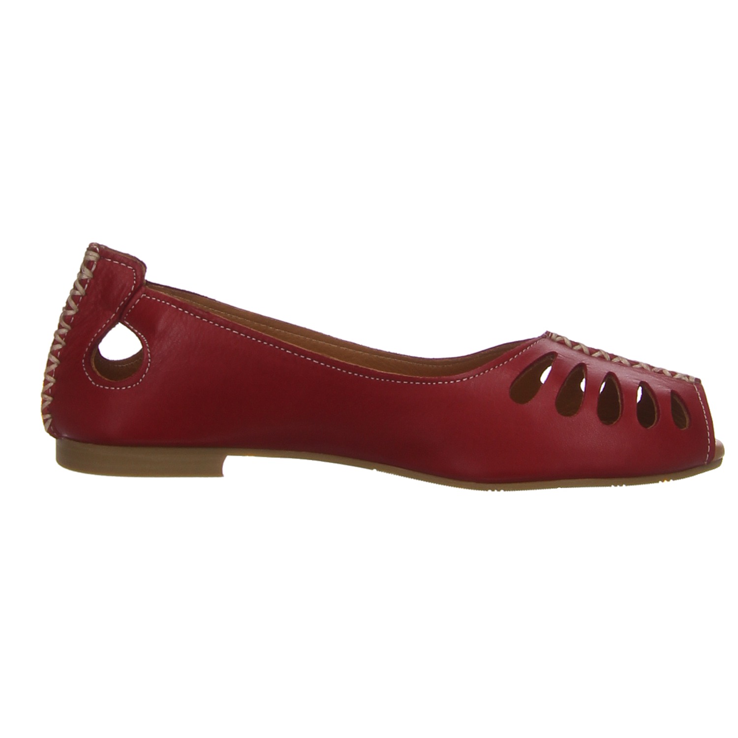 elbandi Peeptoe rot rot