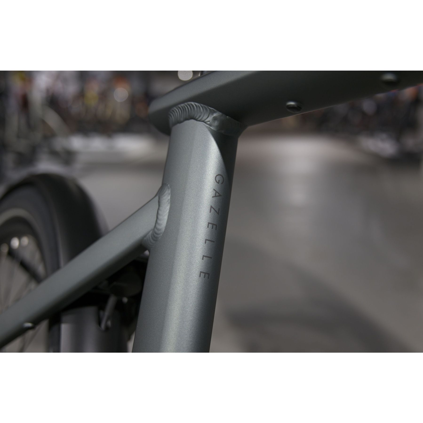 Gazelle Cayo C310 2026