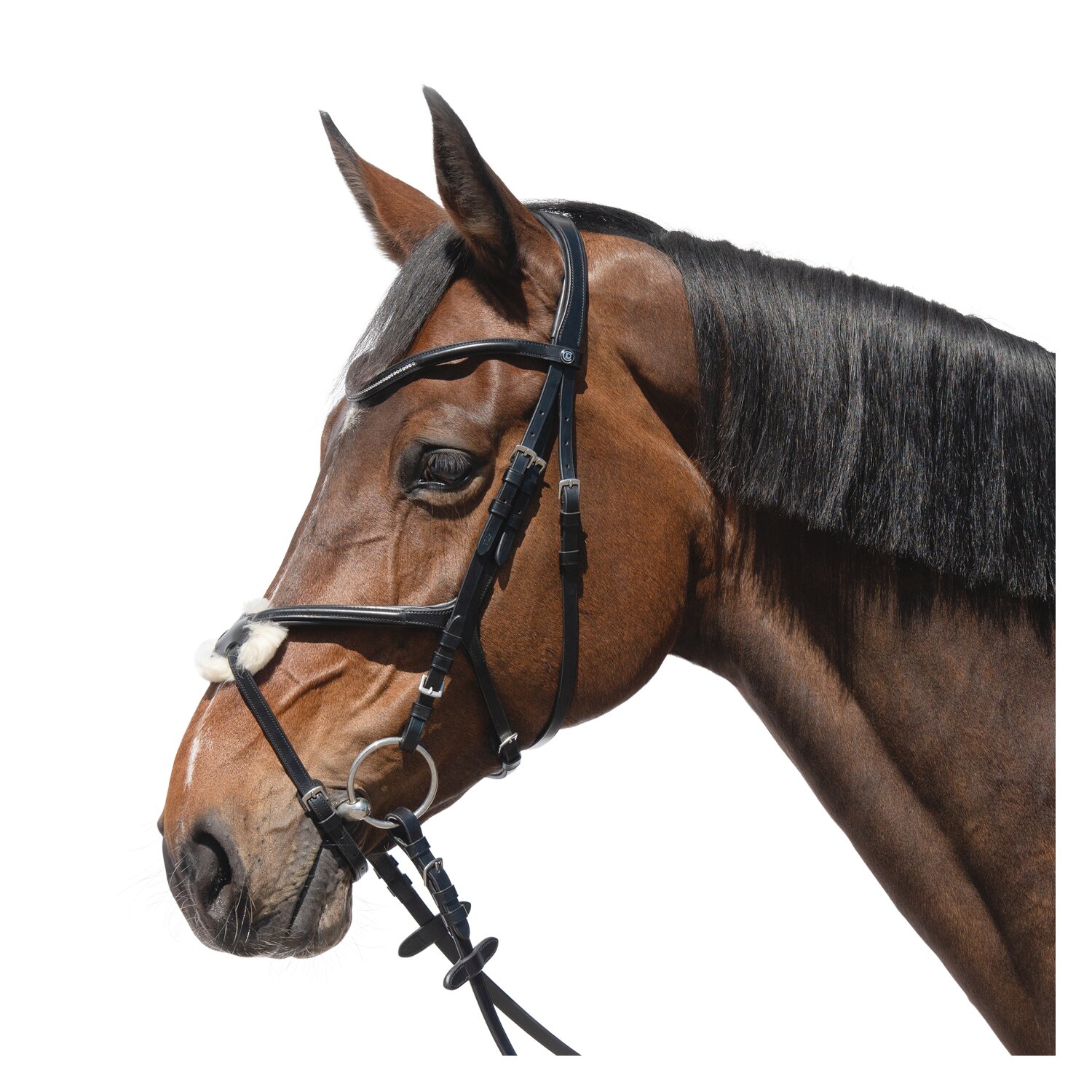 Cheval de Luxe Trensenzaum Miami - schwarz