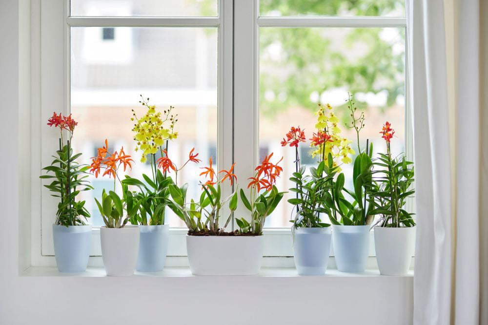 Elho bloempot Brussels orchidee wit D 12,5 H 15,5 cm