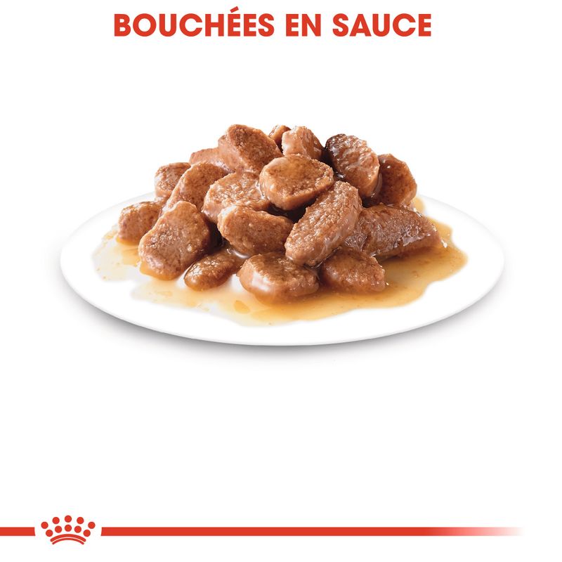 Royal Canin Instinctive en sauce