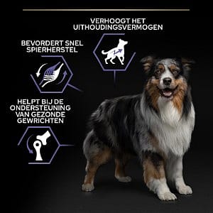 Purina Pro Plan All Sizes Adult Performance Hondenvoer 14 kg | 12831
