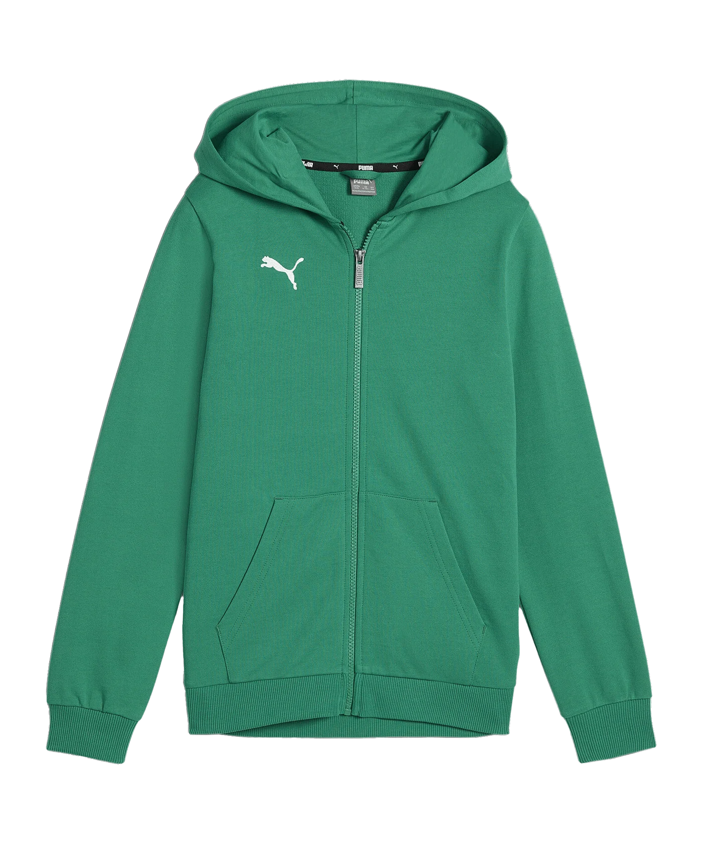 PUMA teamGOAL Casuals Kapuzenjacke Kids Grün F05