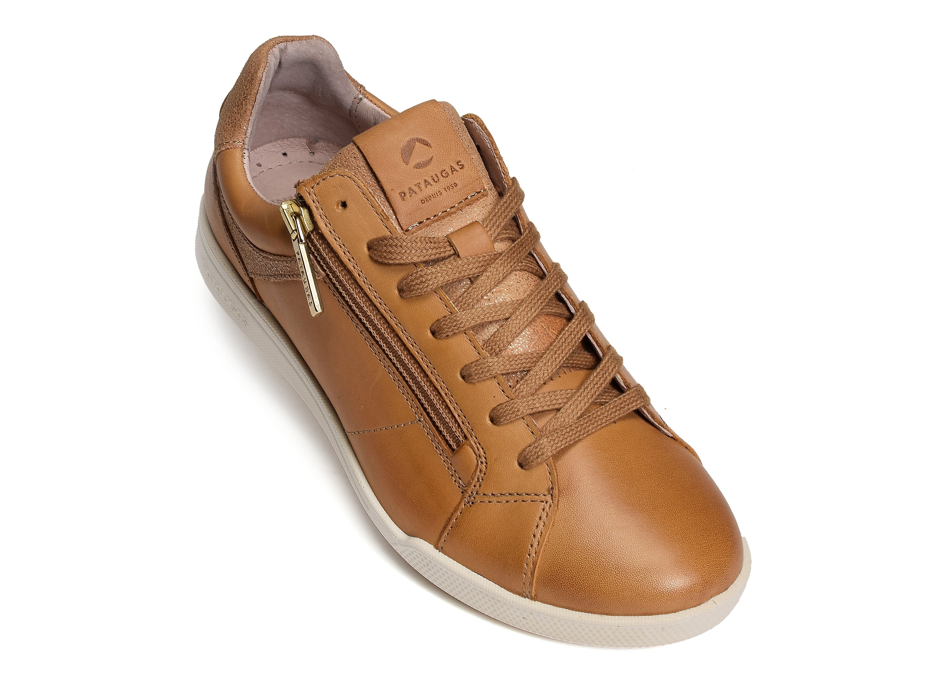 Palme l camel