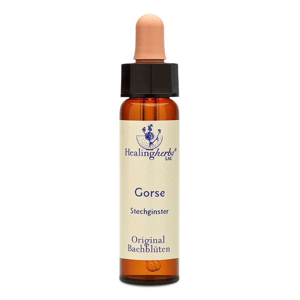 Healing Herbs Gorse Original Bachblüten Tropfen