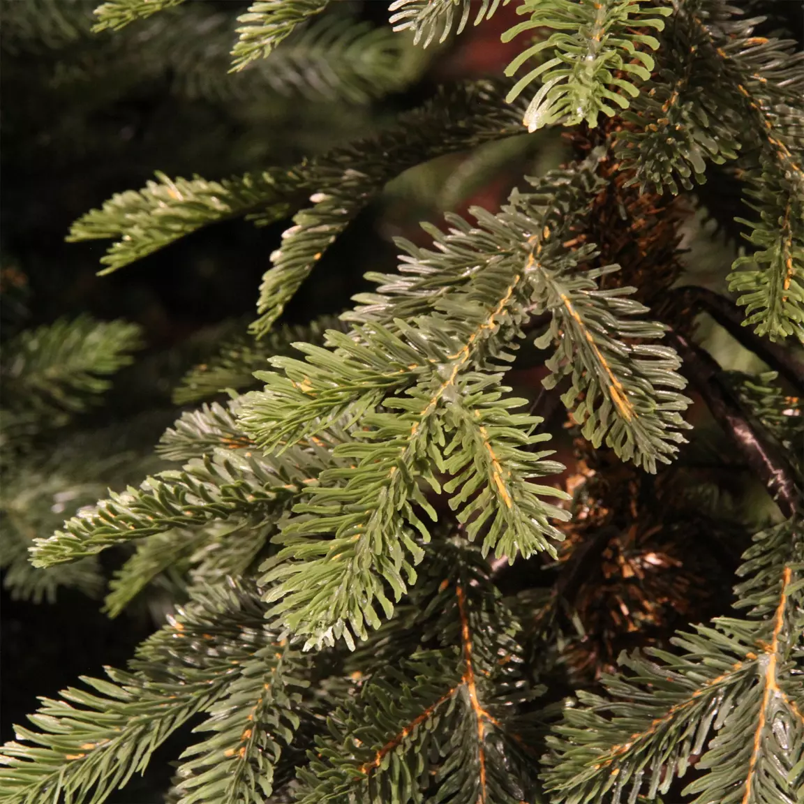 Sapin artificiel de Noël Sierra H210 cm Vert sapin