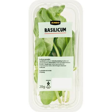 Jumbo Basilicum 20 g