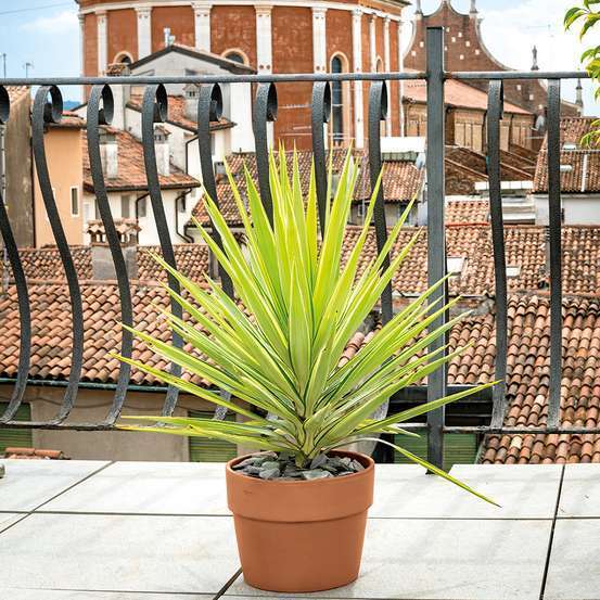 Pot Vaso Perfetto Cotto en terre cuite D.24,5 x H.19,7cm