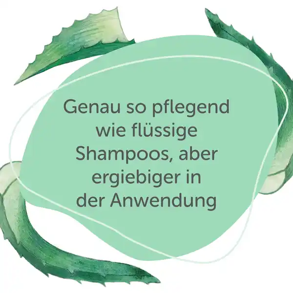 Festes Dusch-Shampoo für Haut & Haar