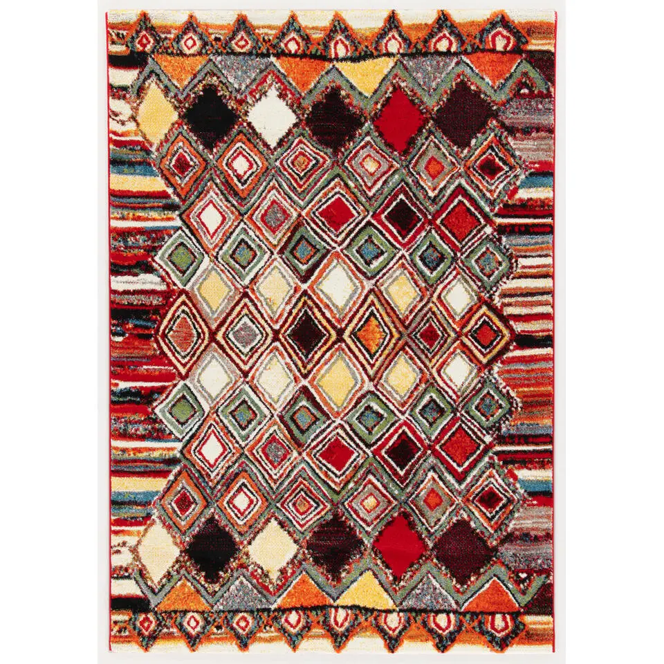 Dutch Lifestyle - Polypropyleen - Vloerkleed - 160x230 cm - Multikleur