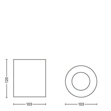 Philips myLiving plafondspot Pillar wit