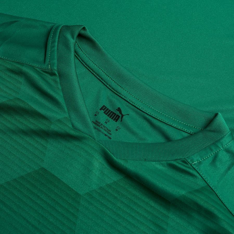 PUMA Maillot teamFINAL 21 Graphic - Vert/Vert