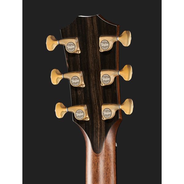 Taylor Builder’s Edition 914ce WHB