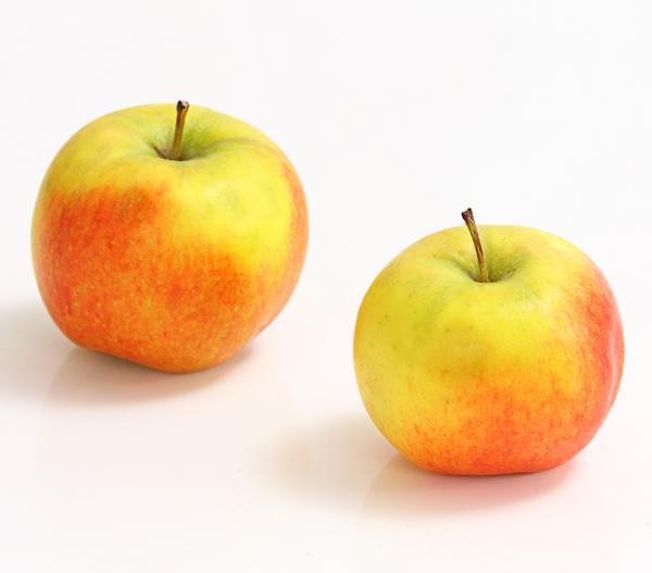 Säulenapfel 'Rondo'