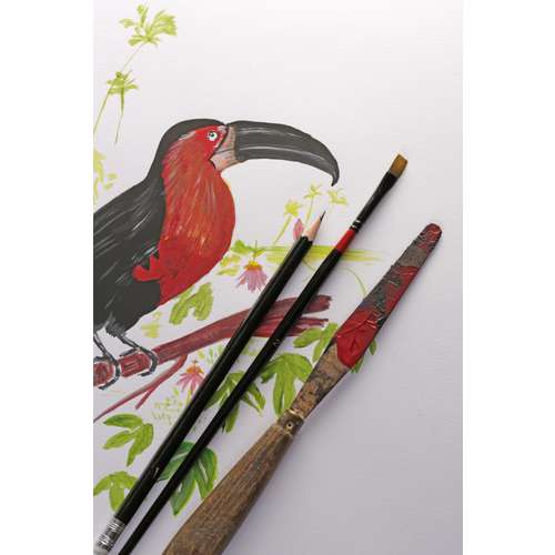 Clairefontaine Paint ON