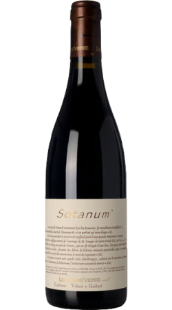 Domaine des Vins de Vienne Sotanum - Seyssuel 2020 IGP Collines Rhodaniennes Rouge