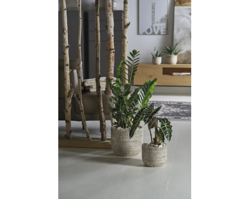 Soendgen Portland keramische plantenbak, Ø 22 cm, H 19 cm, schorslook