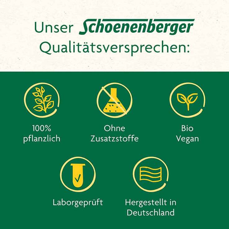 Ingwer Pflanzentrunk Schoenenberger, 200 ml