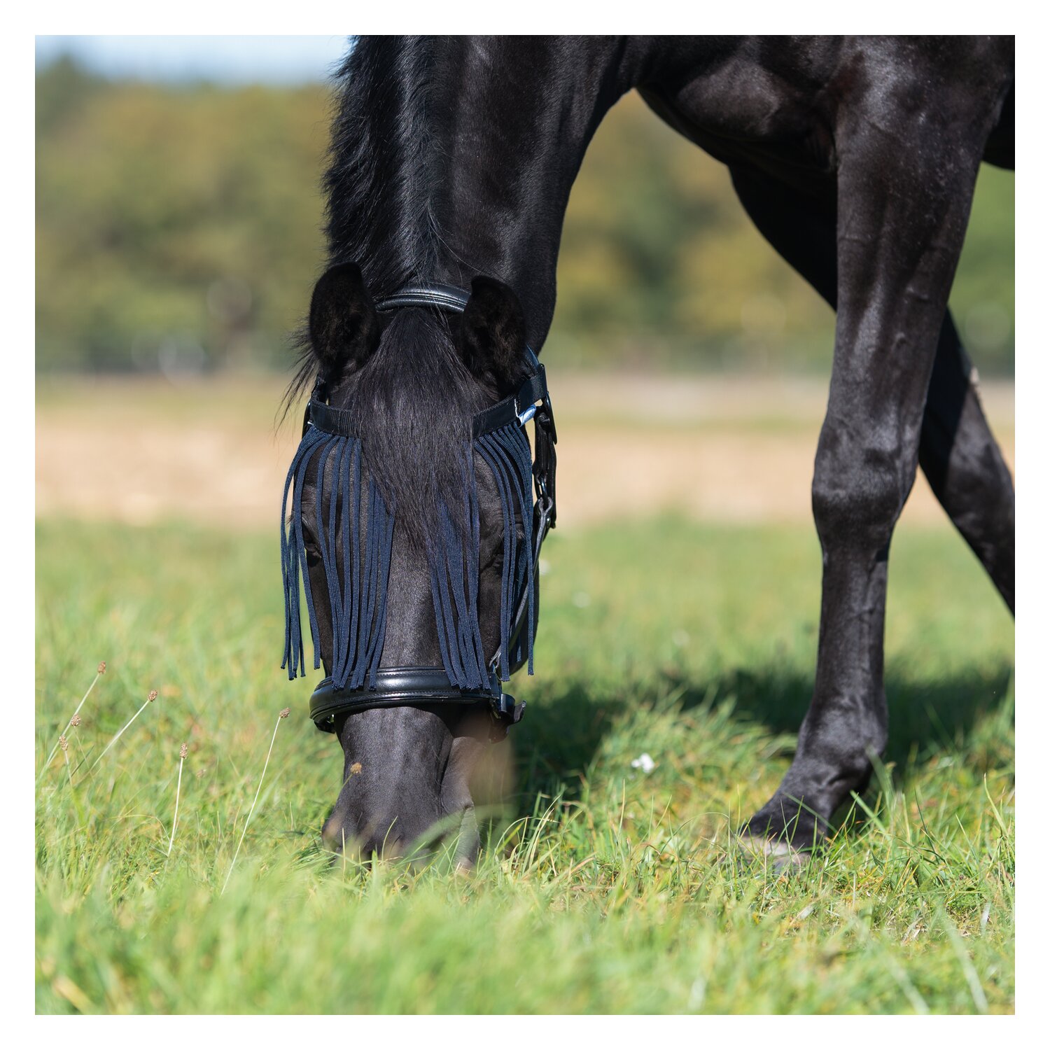 Horse-friends Fliegenstirnband  - navy