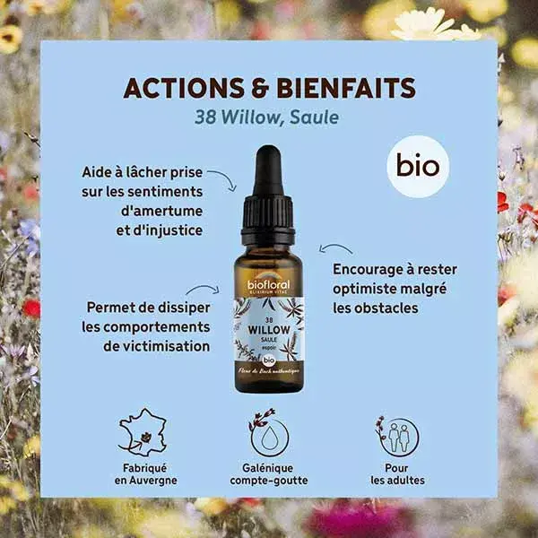 Florais de Bach Biofloral 38 Willow Willow Dropper Orgânico Demeter 20 ml