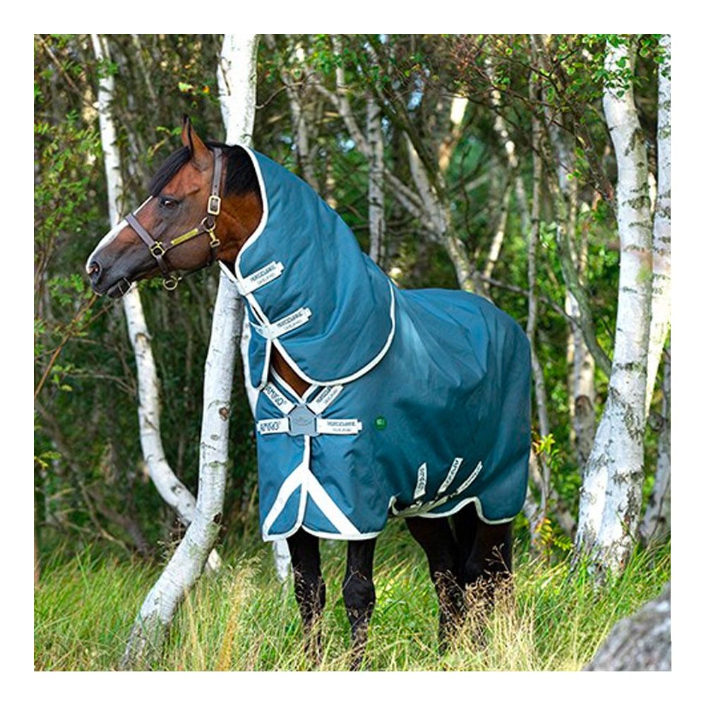 Horseware AMIGO AMECO 12 PLUS 0G - Couverture de paddock + couvre-cou teal/grey