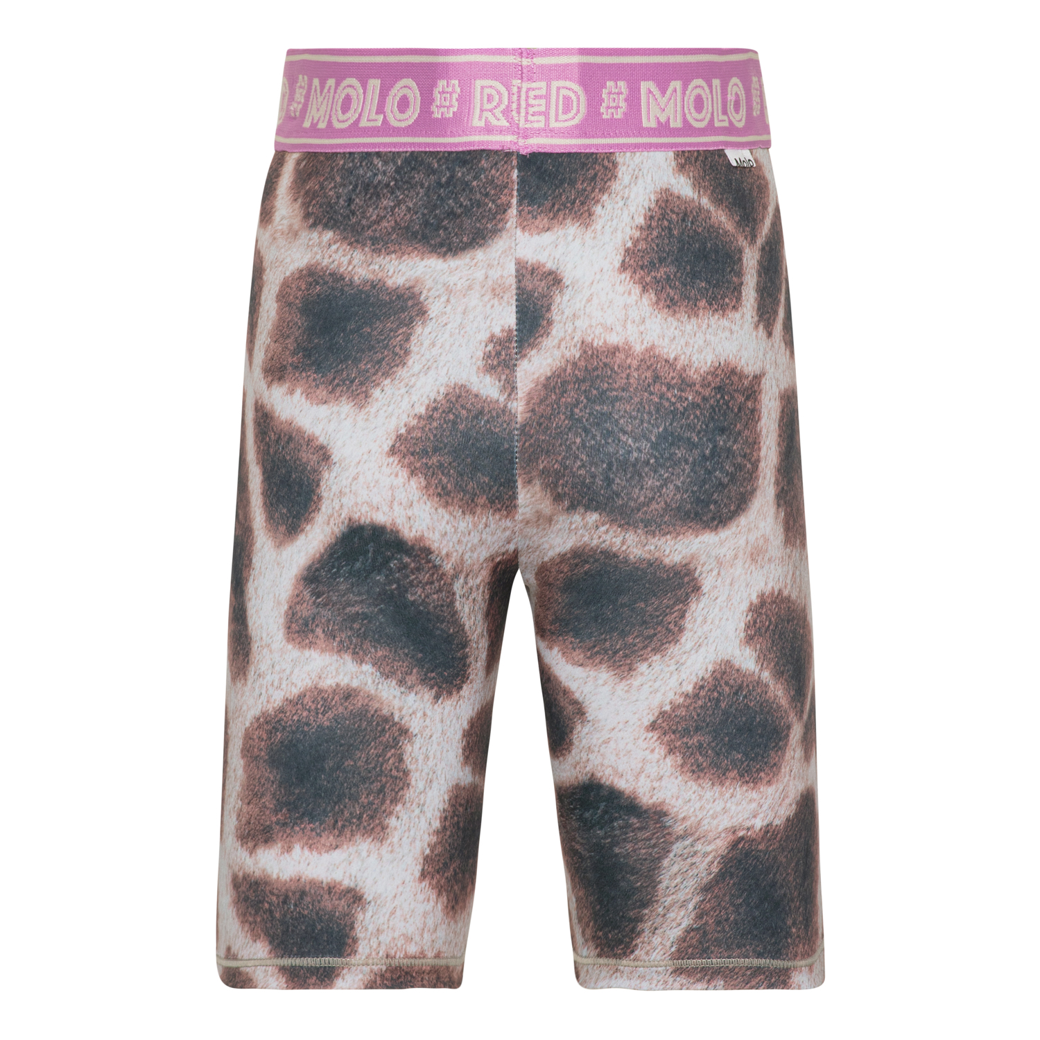 Obelia - Giraffe
