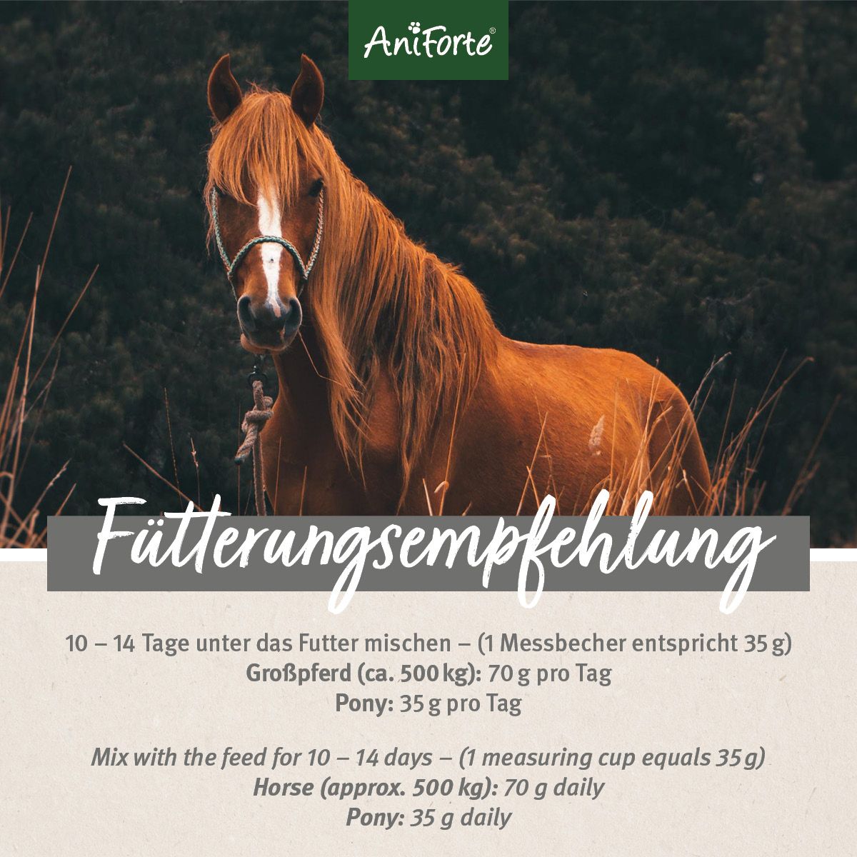 AniForte Bronchial Kräuter
