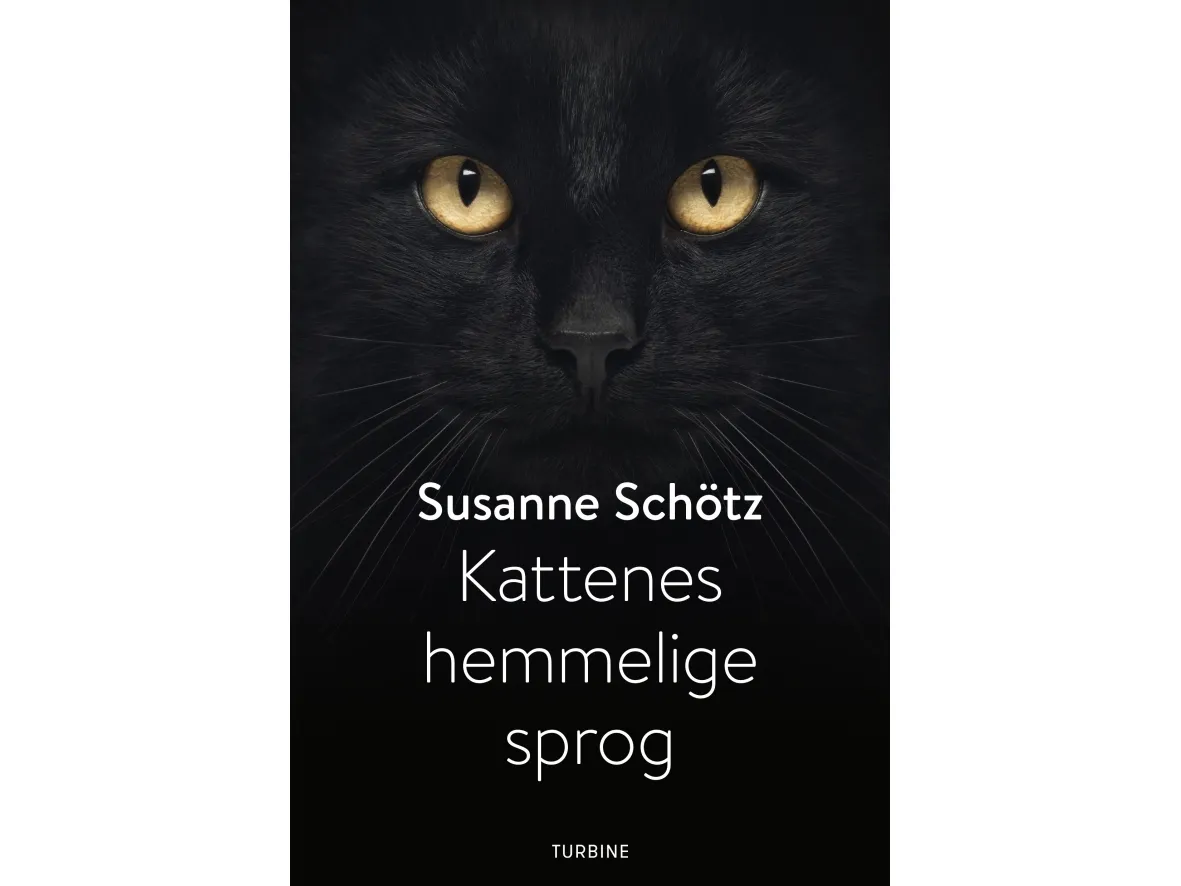 Kattenes hemmelige sprog | Susanne Schötz