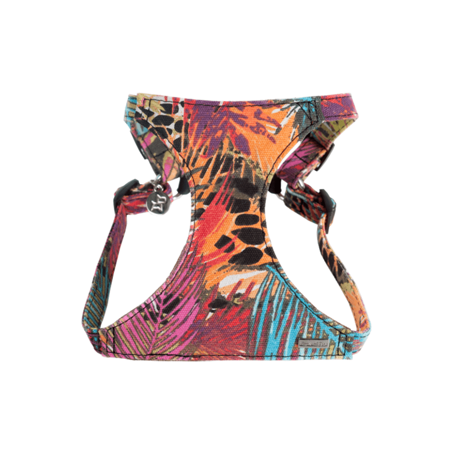 Coleira Tribal para Cães