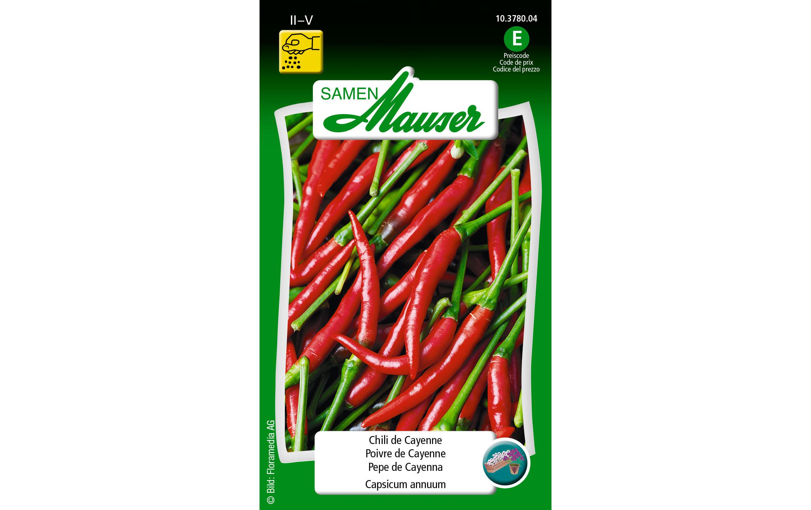 Samen Chili de Cayenne rotGemüsesamen